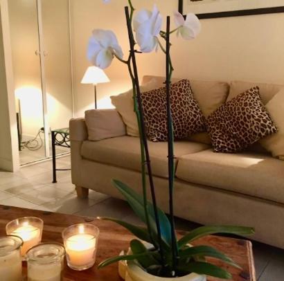 A Charming In The Heart Of The French Riviera Mandelieu